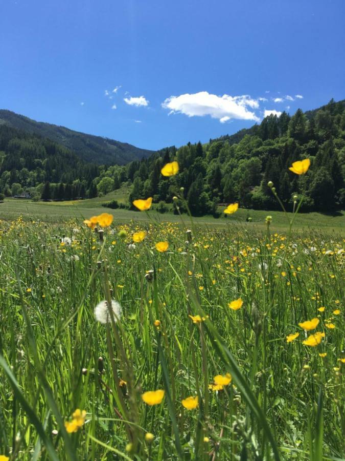 Haus Agnes, Murau Dış mekan fotoğraf