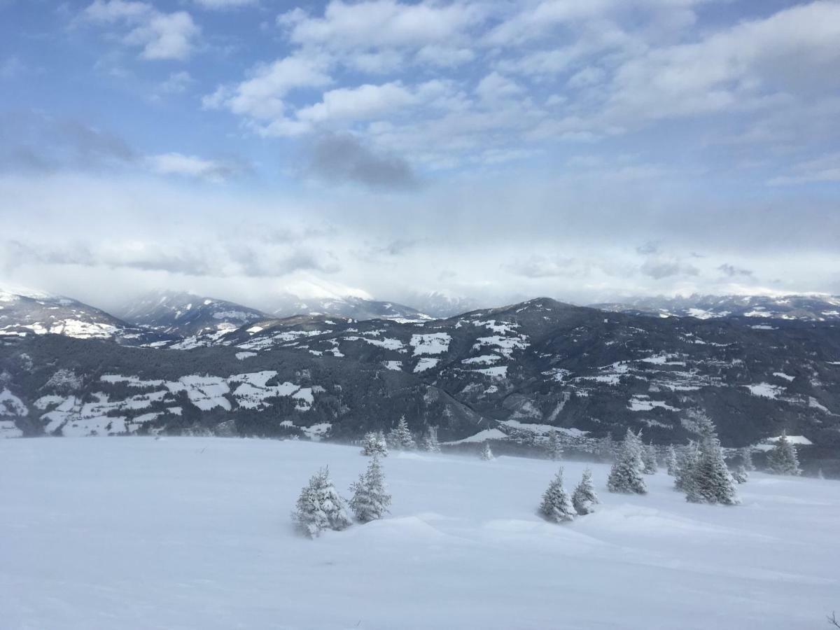 Haus Agnes, Murau Dış mekan fotoğraf